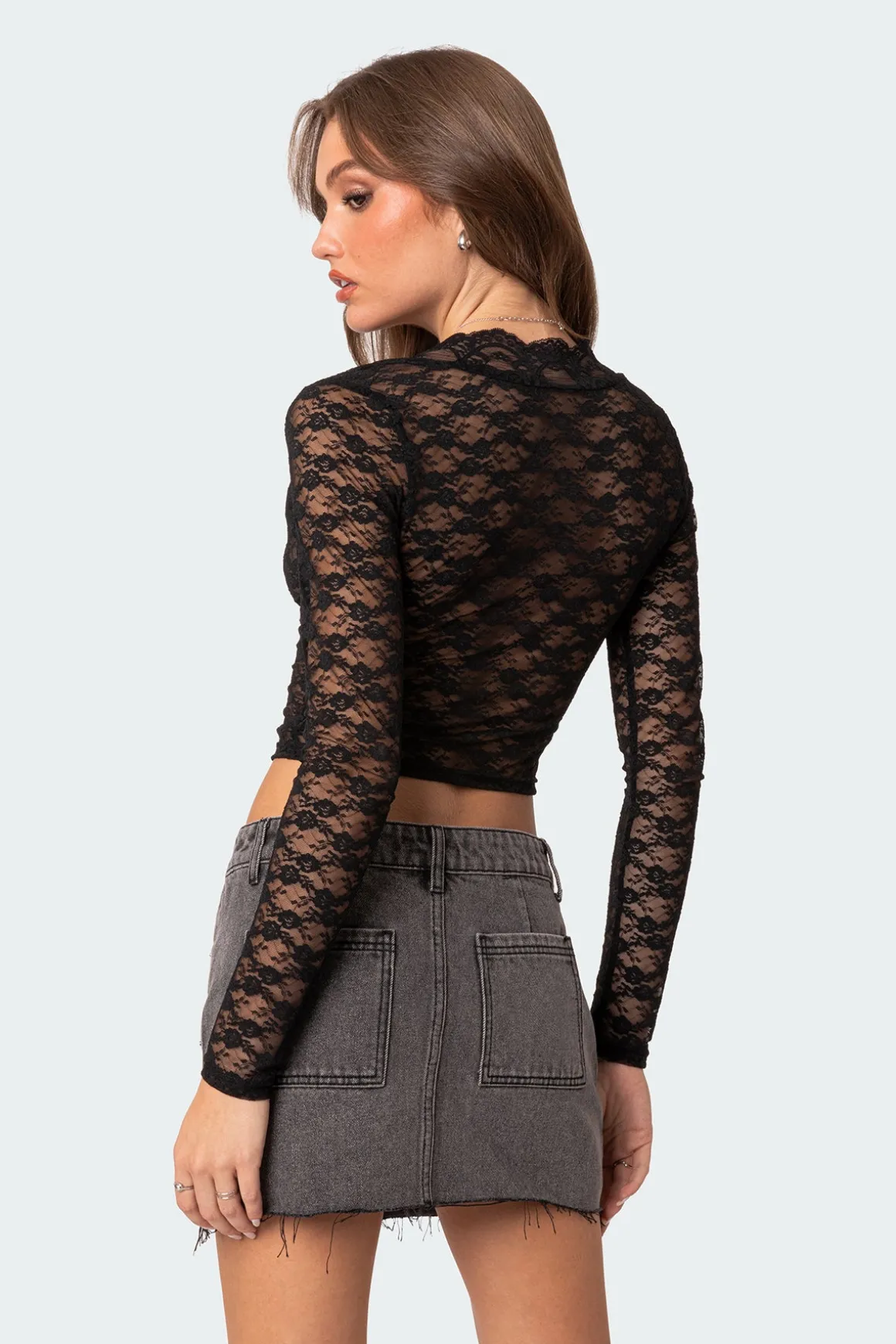 Beck Plunge Neck Sheer Lace Top