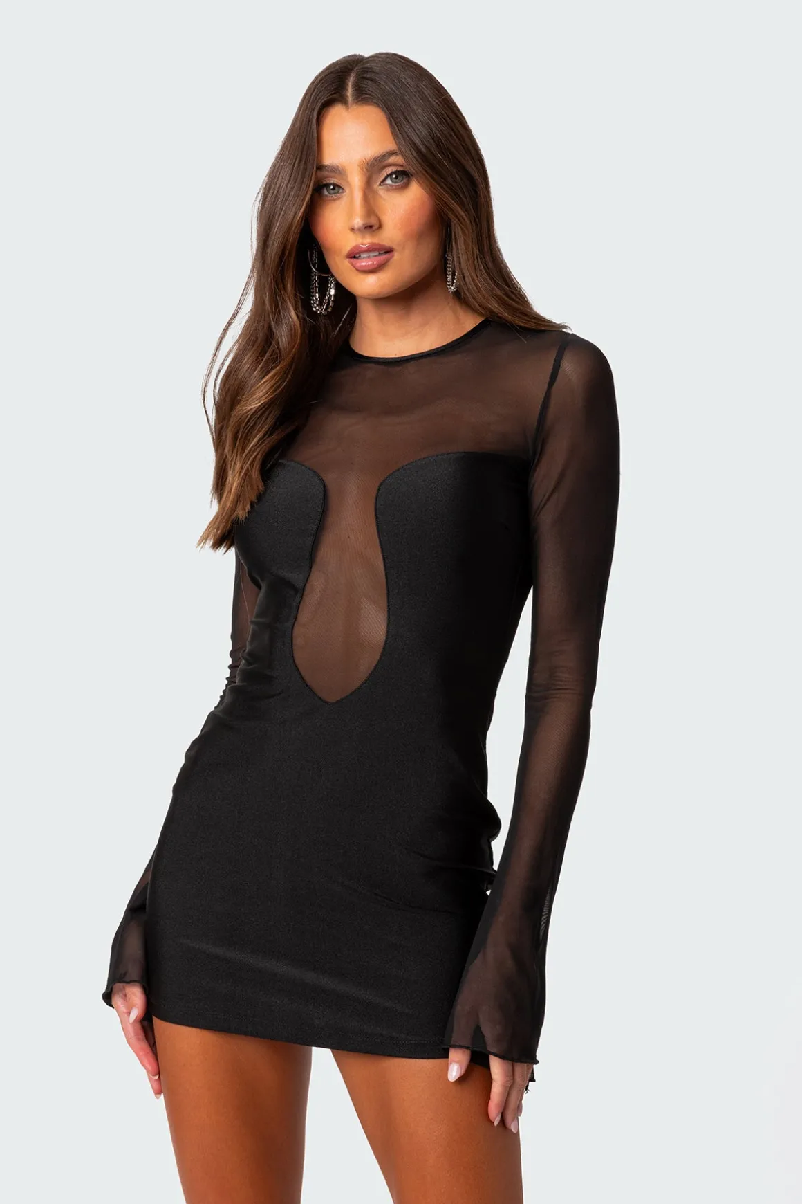 Saanvi Mesh Mini Dress